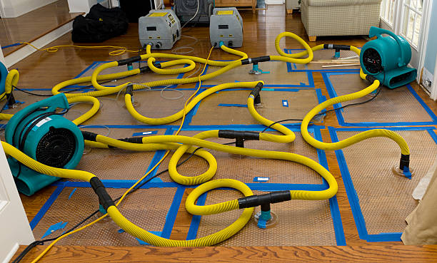 Professional Storm Water Damage Restoration technician working in Waynesboro, PA